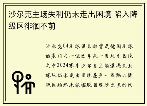 沙尔克主场失利仍未走出困境 陷入降级区徘徊不前